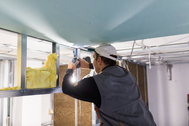 Best Cellulose Insulation  in Carrollton, VA