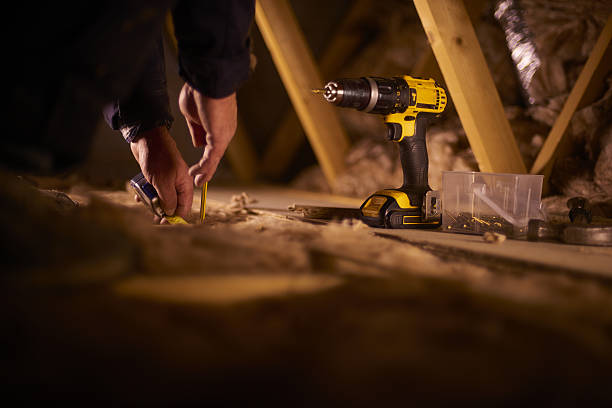 Best Insulation Inspection Services  in Carrollton, VA